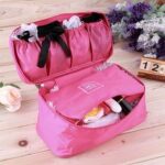 WISHBONE Innerwear Travel Organizer Bag for Women | Underwear, Bra & Socks Packing Cube | Secret Pouch Lingerie Storage Travel Organiser | Compact Luggage Storage Bag (Random Color Will Be Provided) - Image 4