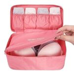 WISHBONE Innerwear Travel Organizer Bag for Women | Underwear, Bra & Socks Packing Cube | Secret Pouch Lingerie Storage Travel Organiser | Compact Luggage Storage Bag (Random Color Will Be Provided) - Image 5
