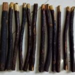 Weinbux Zaitoon Olive Herbal Miswak Natural Toothbrush Sticks | Biodegradable Eco Friendly Chewing Sticks | Healthy Toothbrush | Manual | Pack of 6 - Image 3
