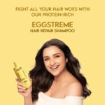 Clensta Eggstreme Hair Repair Shampoo With Egg Protein, Biotin & Hydrolyzed Silk Protein | Promotes Strengthening & Repair Damaged Hair | Sulfate & Paraben Free | For Men & Women - 250ml - Image 3