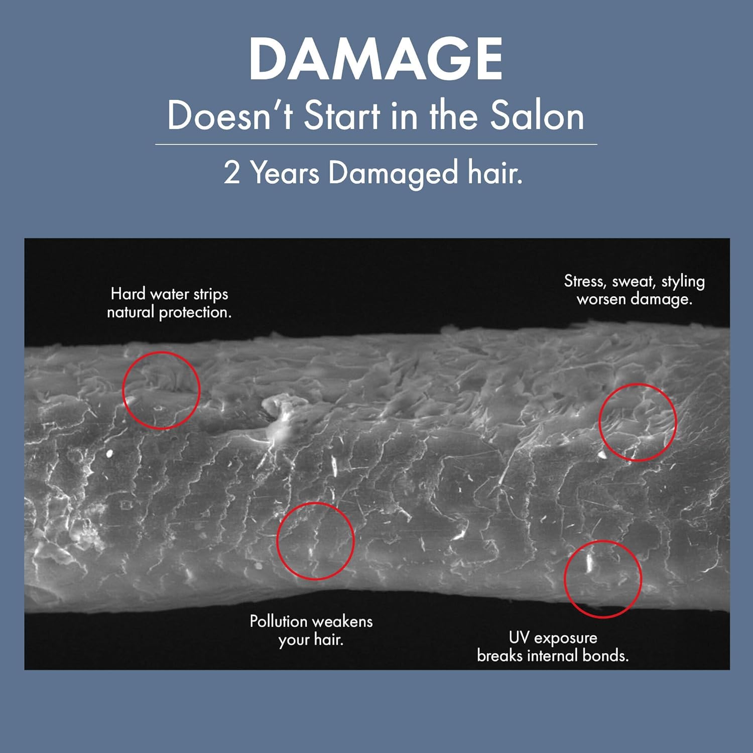 ThriveCo Damage Repair Hair Healing Shampoo | for Dry & Frizzy Hair | Bond Repair for Chemically Treated & Colored Hair | Nourishes, Softens & Smoothens | 250ml - Image 6