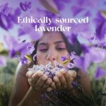 Love Beauty & Planet Argan Oil and Lavender Sulfate Free Smooth and Serene Shampoo|| No Parabens|| No Dyes|| 200ml - Image 5