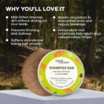 Earth Rhythm Shikakai Shampoo Bar for Hairfall | Contains Shikakai, Curry Leaf, Reeta & Amla Extracts | Men & Women | Sulphate & Paraben Free (Tin Packaging) - 80gm - Image 4