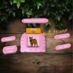 Talking Flash Cards Educational Learning Toys, Rechargeable Montessori Educational Cards, Interactive for Kids Develop Language Skills (Kids Aged 2 3 4 5 6) 224 Words Develop - Image 6
