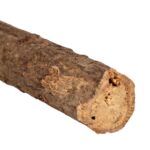 Natural Zaitoon Toothbrush Stick – Herbal Sot Bristle Toothbrush for natural care of tooths (Pack of 4) - Image 4