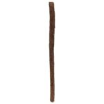 Natural Zaitoon Toothbrush Stick – Herbal Sot Bristle Toothbrush for natural care of tooths (Pack of 4) - Image 6