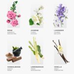 Floryn Decor Jar Scented Candles Gift Set | Scented Candles for Home Decor | Highly fragranced Candles Pack of 6 Mini Jars (Pack of 6) - Image 5