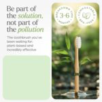 Oblivion Bamboo Toothbrush – Natural Biodegradable Wooden Toothbrush with Medium Bristles for Daily Oral Care – Zero Waste and Plastic Free Dental Hygiene Brush for Adults and Family Use (Pack of 6) - Image 7