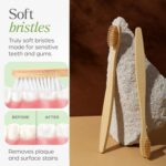 Oblivion Bamboo Toothbrush – Natural Biodegradable Wooden Toothbrush with Medium Bristles for Daily Oral Care – Zero Waste and Plastic Free Dental Hygiene Brush for Adults and Family Use (Pack of 6) - Image 8