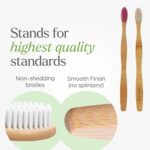 Oblivion Bamboo Toothbrush – Natural Biodegradable Wooden Toothbrush with Medium Bristles for Daily Oral Care – Zero Waste and Plastic Free Dental Hygiene Brush for Adults and Family Use (Pack of 6) - Image 9