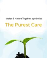 Mother Sparsh Cotton Scented 98% Water Plant Fabric, Biodegradable Wipe (Blue, 15 Wipes) - Pack of 5 - Image 4