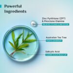 Pilgrim Australian Tea Tree Anti-Dandruff Unscented Conditioner For All Hair Type 200 millilitre | Smoothens Strands & Detangles Hair | Fights and Prevents Dandruff | For Men & Women - Image 6