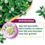 Himalaya Anti-Hair Fall Bhringaraja Shampoo 1 Litre | with Bhringaraja & Natural Proteins | Up to 96% Less Hair Fall | Dermatologically Tested | Paraben Free | For Women & Men - Image 5