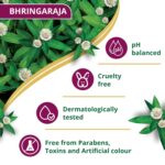 Himalaya Anti-Hair Fall Bhringaraja Shampoo 1 Litre | with Bhringaraja & Natural Proteins | Up to 96% Less Hair Fall | Dermatologically Tested | Paraben Free | For Women & Men - Image 8