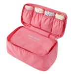 WISHBONE Innerwear Travel Organizer Bag for Women | Underwear, Bra & Socks Packing Cube | Secret Pouch Lingerie Storage Travel Organiser | Compact Luggage Storage Bag (Random Color Will Be Provided) - Image 2