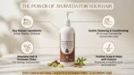 Amla Reetha Shikakai Shampoo with Conditioner – Natural Herbal Shampoo for Soft & Shiny Hair | Helps Cleanse Scalp & Strengthen Hair | Suitable for All Hair Types (1L) - Image 3