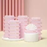 Mini Baby Wipes Disposable Portable Pocket Water Wipes Baby Skin Care Wet Tissue Travel Children Baby Hand & Face Baby Sanitizing Cleansing/Moisturising Wipes For Fresh(64 Wipes X 1 Pack) - Image 4