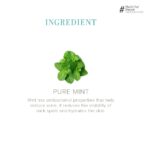 KHADI NATURAL Pure Mint Soap, 125g| Herbal Soap for Removing Dirt & Impurities | No mineral oils added| Suitable for All Skin Types| Pack of 2 - Image 4