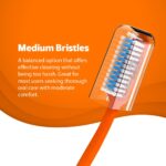 Classic Gold Supreme Medium Manual Toothbrush For Adults | With Dupont Tynex Bristles and Crystal Clear Anti Bacterial Cap | Pack of 12 Pieces - Multicolor - Image 4