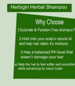 Herbigiri Herbal Henna & Tulsi Extra Conditioning Shampoo | SLS & Paraben Free | Gentle Herbal Hair Cleanser for Soft, Smooth & Manageable Hair | For Men & Women | 210 ml (Pack of 2) - Image 6