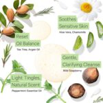 Organic Argan Shampoo For Oily Hair. The Only pH 5.5 Balanced Itchy Scalp Shampoo Gentle Enough for Sensitive Skin, Infused with Peppermint Essential Oil and Wild Soapberries, 8.5 ozâ€”by Tree To Tub - Image 4