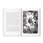 Grandma's Bag Of Stories: Collection of 20+ Illustrated short stories, traditional Indian folk tales by Sudha Murty - Image 5