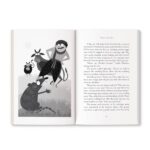 Grandma's Bag Of Stories: Collection of 20+ Illustrated short stories, traditional Indian folk tales by Sudha Murty - Image 6