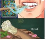 Natural Miswak Stick Toothbrush, Manual Dental Care with Natural Wood, Light Brown, for Adults and Teenagers - Image 3