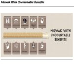 Natural Miswak Stick Toothbrush, Manual Dental Care with Natural Wood, Light Brown, for Adults and Teenagers - Image 4