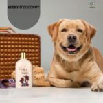 Dog Trust Oh My Dog Paraben Free Ultimate Pet Shampoo for Puppies & Dogs (Berry & Coconut 500ml) (Berry & Coconut) - Image 5