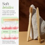 Oblivion Bamboo Toothbrush – Natural Biodegradable Wooden Toothbrush with Medium Bristles for Daily Oral Care – Zero Waste and Plastic Free Dental Hygiene Brush for Adults and Family Use (Pack of 2) - Image 9
