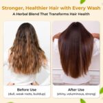 Natural Herbal Hair Growth Shampoo Powder for Control Hair Fall 100 grams x 2 Pack with Amla, Reetha, Shikakai, Methi & Hibiscus Powder - Hair Pack & Cleanser - 100% Natural Healthy Hair - Men & Women - Image 6