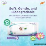 Himalaya Gentle Baby Wipes - 72 Pieces (Pack of 2) - Image 3