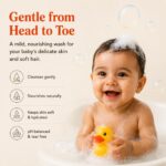 0+ months Simply Desi Head-to-Toe Baby Wash, Plant Based, Tear Free, Fragnance free, pH Balanced, with Aloe Vera, Neem, Almond Gum, 480ml (Unscented) - Image 5
