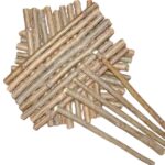 Ayurvedic Natural Organic Neem Datun Toothbrush, Twigs Chew Sticks for Brushing Teeth Removes Bad Breath, Relieve Tooth Ache, Healthy Collected in The Wild. (Pack of 40) - Image 3