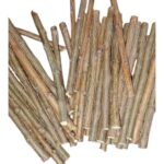 Ayurvedic Natural Organic Neem Datun Toothbrush, Twigs Chew Sticks for Brushing Teeth Removes Bad Breath, Relieve Tooth Ache, Healthy Collected in The Wild. (Pack of 40) - Image 6