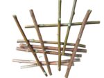 Ayurvedic Natural Organic Neem Datun Toothbrush, Twigs Chew Sticks for Brushing Teeth Removes Bad Breath, Relieve Tooth Ache, Healthy Collected in The Wild. (Pack of 40) - Image 8