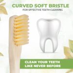Now Organic Brand Premium multicolour Natural Bamboo Toothbrush with Sensitive Gentle Soft Bristles Round Handle Adult Pack of (2) - Image 4