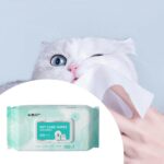 Dog Wipe for Dogs Cats 100 Count Gentle Unscented Dog Ears Wipe Travel Pack - Image 7