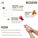 Mitchell USA Papaya Gentle Facial Cleanser for Face Brightening | Normal to Oily & Dry Skin Types | Lotus Seed, Witch Hazel, Ginger Root & Aloe Vera Extract | Glowing Skin for Men & Women | 200 ml - Image 3