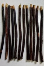 RBLISS CG Zaitoon/Black Olive Herbal Miswak Natural Manual, Adult Toothbrush Sticks | Datun Chewing Sticks | Healthy Eco Friendly Toothbrush | Pack Of 15 - Image 5