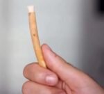 Miswak Stick/Toothbrush/Datun | Eco Friendly Chewing Stick | Healthy Toothbrush | Organic dental care | A Healthy Manual Toothbrush | Manual | not chemically treated Pack Of 10 - Image 3