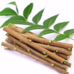 DROOTZ Brand Neem Datun Sticks for Teeth | 100% Natural, Eco-Friendly & Organic Toothbrush | 18 -Sticks - Image 2