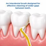 ICPA Interdental Manual Thermoseal Proxa Wide Space Brush For Adult | Dental Brush | Easy Cleaning between teeth (Multicolor, Pack of 2) - Image 3