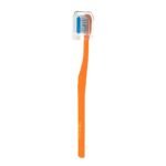 Classic Gold Sumo Medium Manual Toothbrush For Adults | With Dupont Tynex Bristles and Crystal Clear Anti Bacterial Cap | Pack of 12 Pieces - Multicolor - Image 3