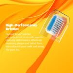 Classic Gold Sumo Medium Manual Toothbrush For Adults | With Dupont Tynex Bristles and Crystal Clear Anti Bacterial Cap | Pack of 12 Pieces - Multicolor - Image 4