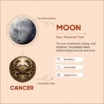 Karka (Cancer) Rashi Bracelet | Labradorite, Moonstone, Clear Quartz, Rose Quartz,Amethyst, Evil Eye | Emotional Stability & Intuition | Relieves Anxiety, Boosts Intuition | For Men & Women - Image 3