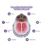 MUMMA MALL Left & Right Brain Activity buzy Book for kids – Build Focus, Creativity & Hand Coordination for Kids - Image 4