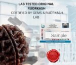 1 Mukhi Rudraksha Original Certified Nepali GOL Dana Beautiful Round Om TriShul Shiv Shape Excellent One Face Rudraksha | Ek Mukhi Rudraksh Beads With Lab Certificate - Image 5