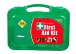 First Aid Kit for Home/Office/Vehicle/Travel - AK-II (with all the meds / 50 items inside in a Green Plastic Box) - Image 3